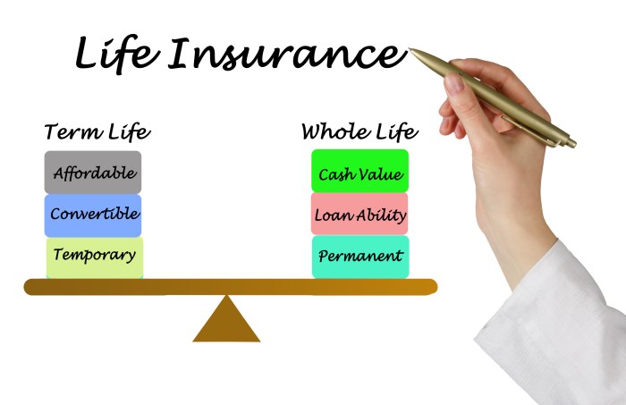 Insurance options life