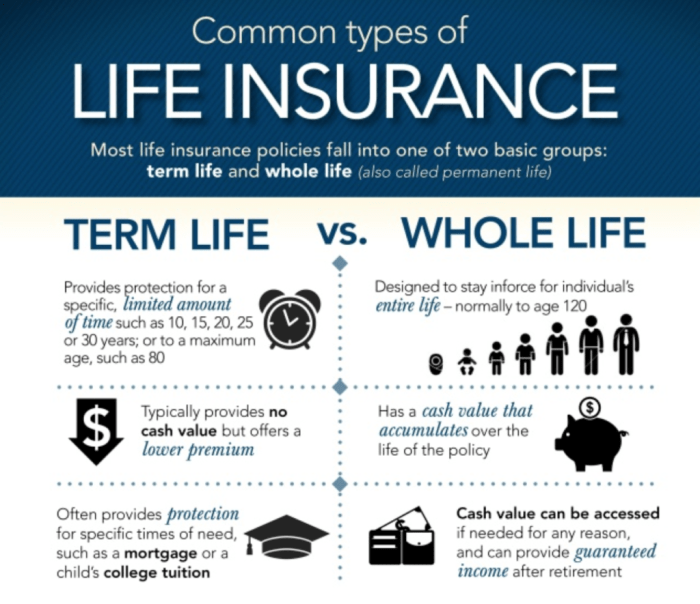 Insurance whole cons pros benefits