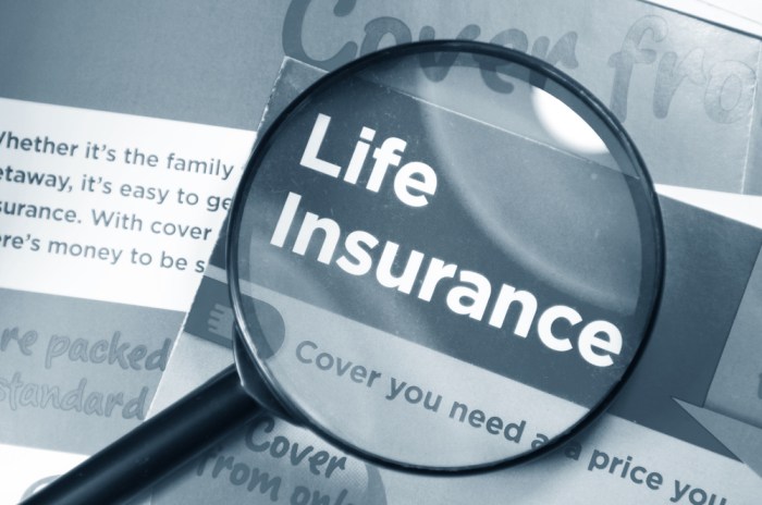 Insurance life