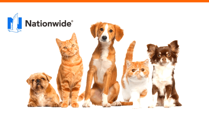 Pet insurance nationwide reviews vpi pets article