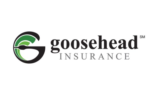 Goosehead insurance