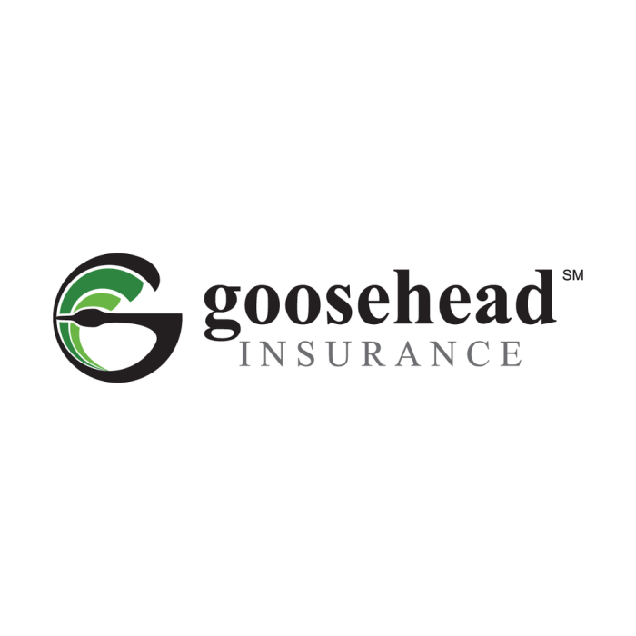 Goosehead insurance