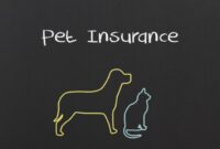 Insurance pet get furry finsmes deal tips friend right