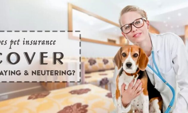 Does pet insurance cover spaying