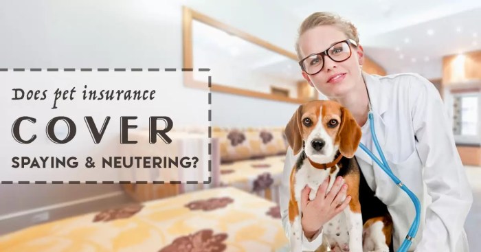 Does pet insurance cover spaying