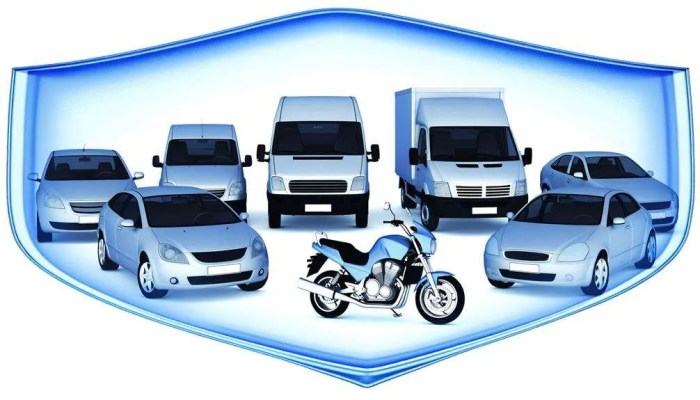 Vehicle insurance company