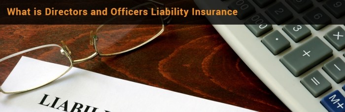 Officers directors insurance liability