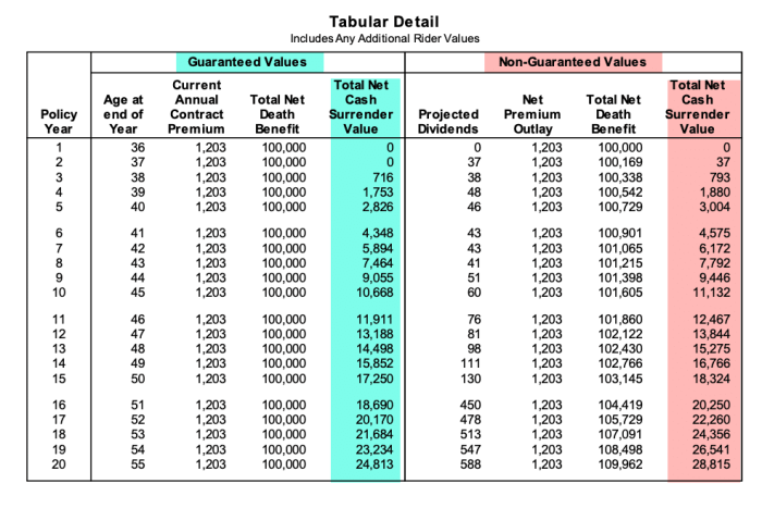 Insurance life whole rates policy example plans benefit fixed death