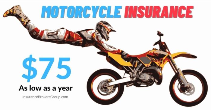 Insurance motorcycle cheapest who has cheap year starts