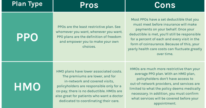 Hmo ppo vs insurance health plan medical fill