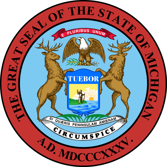 Understanding the Michigan Department of Insurance: A Comprehensive Guide