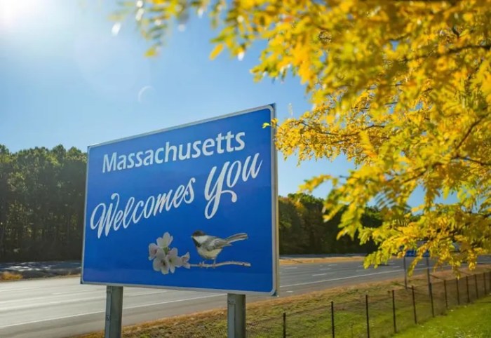 Insurance massachusetts car mississippi indiana companies largest connecticut forbes advisor market share guide rank state