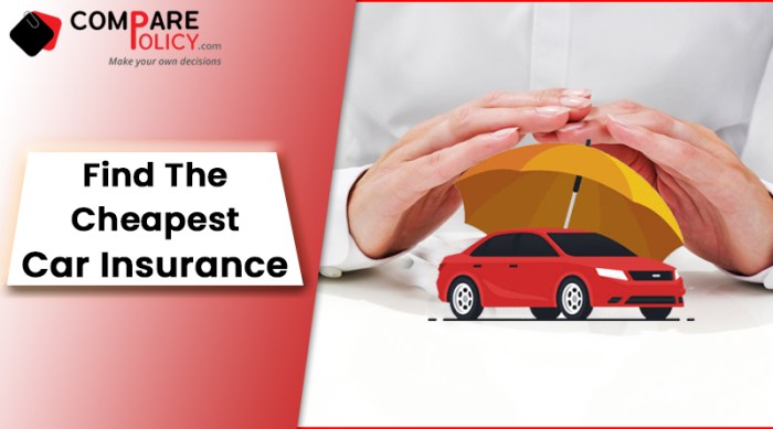 Insurance caredge