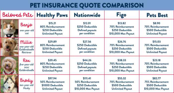 Insurance cost pet dog average breed varies significantly chart