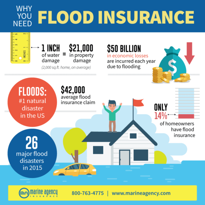 Insurance flood funny quotes floods humor cartoons meme quotesgram water me leaks think quote funnies here car farm trust lose