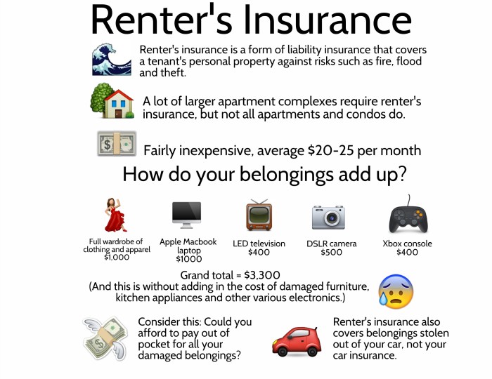 Insurance renters tenant renter property