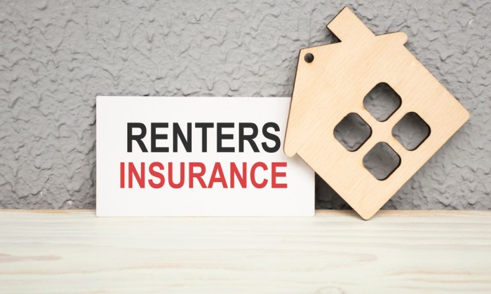 Insurance renters tenant invest