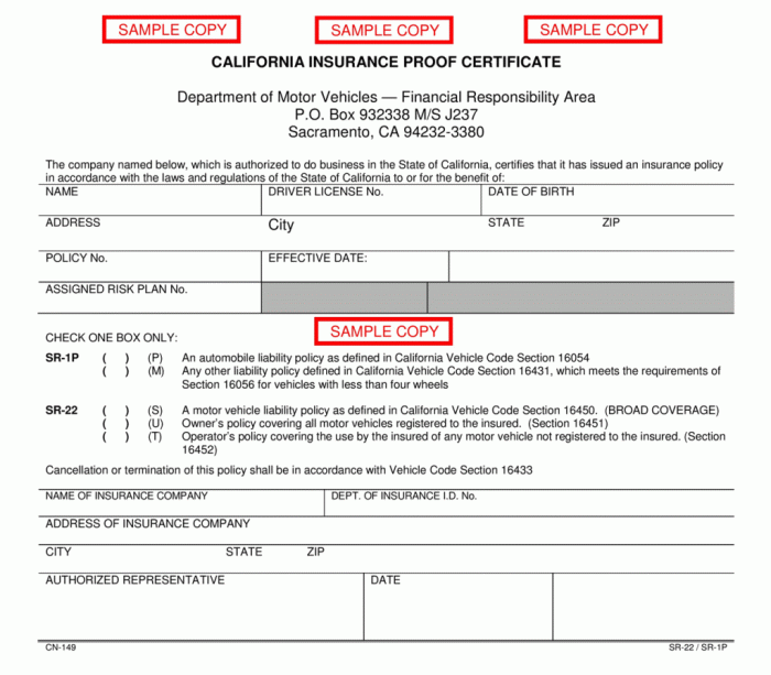 Sr22 closer requirements