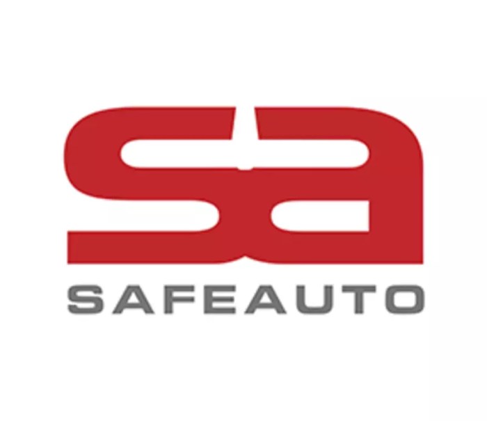 Safe auto wikia 2006 present logopedia