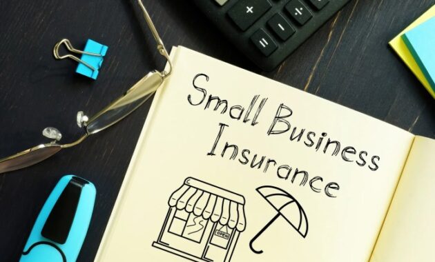 Business small insurance quotes mean