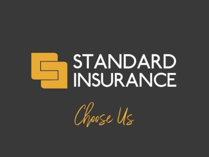 Insurance standard texas auto menu logo locations us