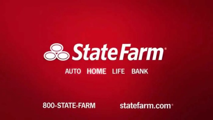 State insurance car step