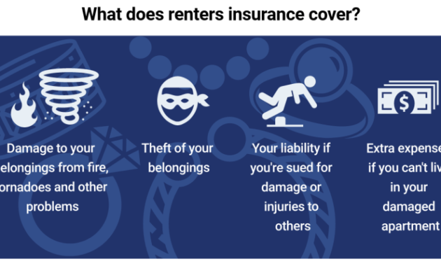 Insurance renters renter