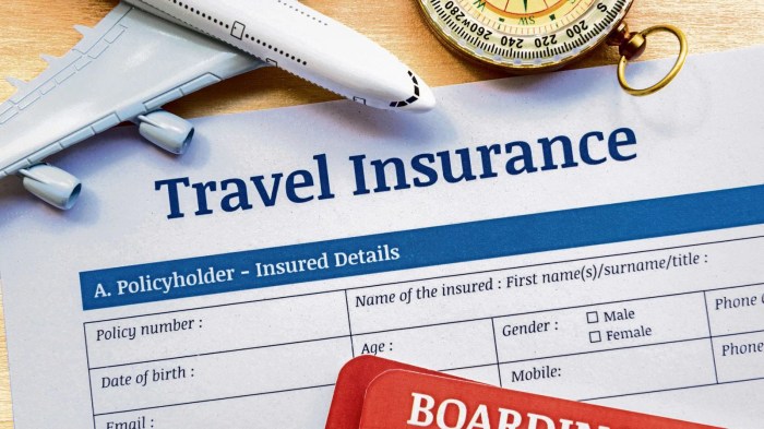 Travel insurance peace mind provides holidays