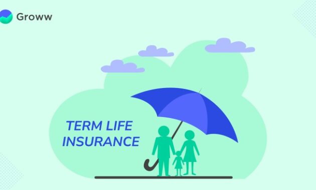 Insurance life term products riders