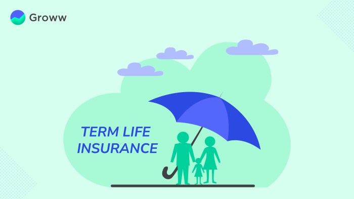 Insurance life term products riders