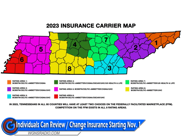 State of tennessee department of commerce and insurance