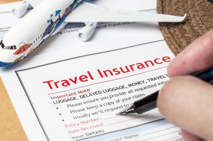 Insurance trip travel safety cast canada usa over