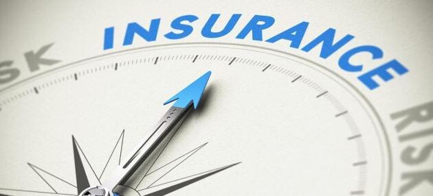 Insurance market grows markedly