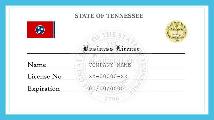 State of tennessee department of commerce and insurance