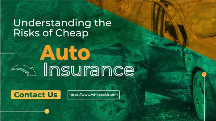 Insurance Insurance