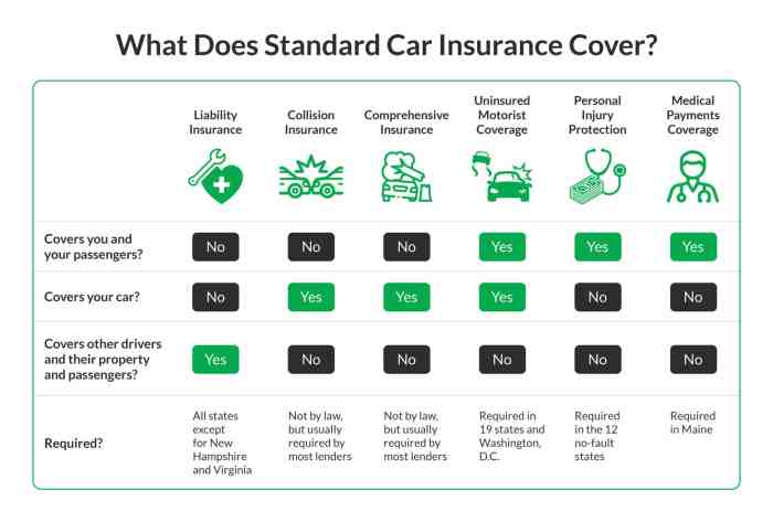 Car insurance rochester ny