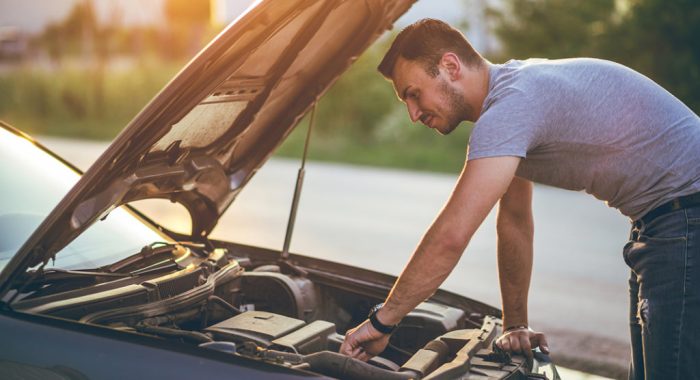 Vehicle check gov checks car tlc lockdown some show service government Vehicle check gov checks car tlc lockdown some show service government