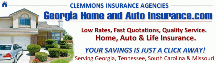 Insurance georgia car auto
