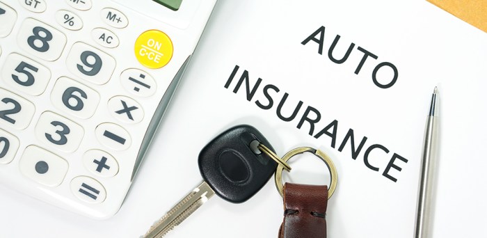Insurance auto low cost factors determined
